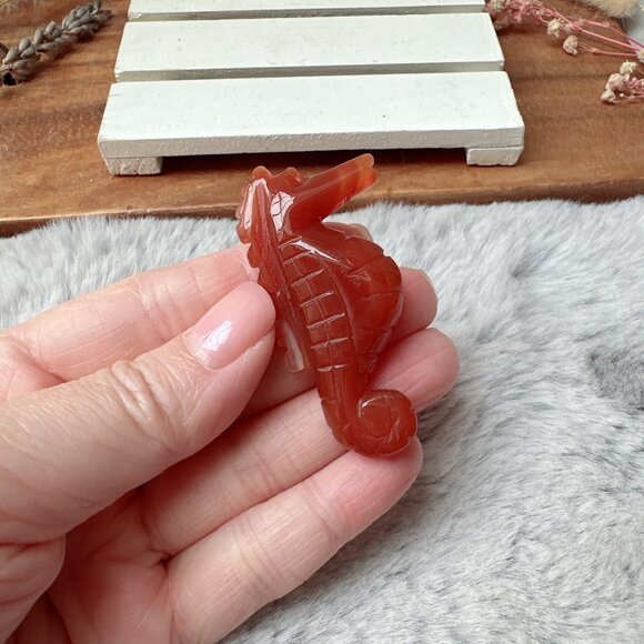 Cute Small Carnelian Seahorse Carving - Picture 6 of 6